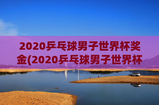 2020乒乓球男子世界杯奖金(2020乒乓球男子世界杯奖金多少)
