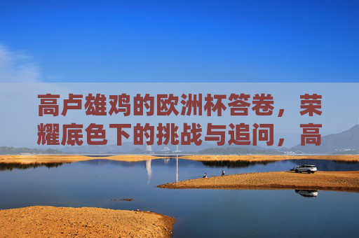 高卢雄鸡的欧洲杯答卷，荣耀底色下的挑战与追问，高卢雄鸡欧洲杯答卷，荣耀底色下的挑战与追问