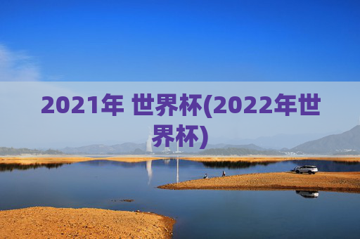 2021年 世界杯(2022年世界杯)
