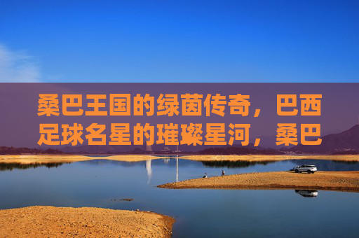 桑巴王国的绿茵传奇，巴西足球名星的璀璨星河，桑巴绿茵传奇，巴西足球名星的璀璨星河