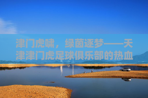 津门虎啸，绿茵逐梦——天津津门虎足球俱乐部的热血与坚守，津门虎啸，绿茵逐梦与热血坚守