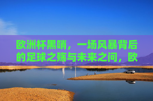 欧洲杯黑哨,一场风暴背后的足球之殇与未来之问,欧洲杯黑哨风暴,足球之殇与未来之问