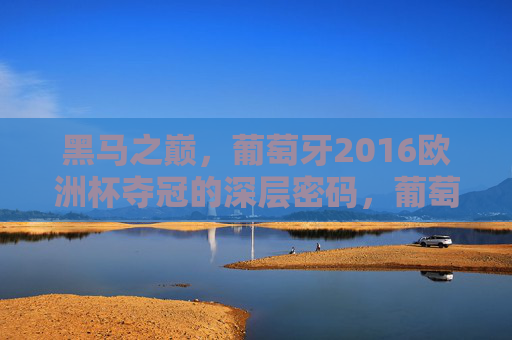 黑马之巅，葡萄牙2016欧洲杯夺冠的深层密码，葡萄牙2016，黑马登顶的深层密码