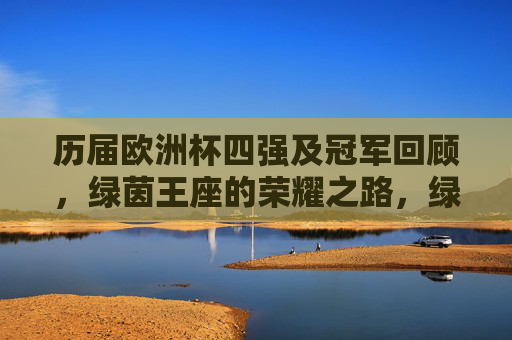 历届欧洲杯四强及冠军回顾,绿茵王座的荣耀之路,绿茵王座,欧洲杯四强冠军的荣耀回顾