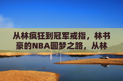 从林疯狂到冠军戒指,林书豪的NBA圆梦之路,从林疯狂到冠军戒指,林书豪的NBA圆梦之路
