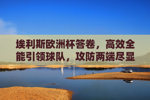 埃利斯欧洲杯答卷，高效全能引领球队，攻防两端尽显领袖风采，埃利斯欧洲杯答卷，高效全能尽显领袖攻防风采
