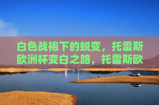 白色战袍下的蜕变,托雷斯欧洲杯变白之路,托雷斯欧洲杯,白衣战袍下的蜕变