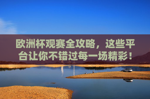 欧洲杯观赛全攻略，这些平台让你不错过每一场精彩！欧洲杯观赛全攻略，平台推荐不错过每一场精彩