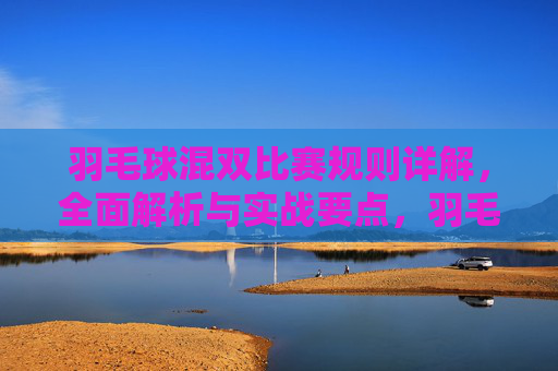 羽毛球混双比赛规则详解,全面解析与实战要点,羽毛球混双规则详解与实战要点