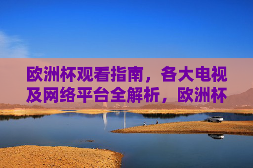 欧洲杯观看指南，各大电视及网络平台全解析，欧洲杯观赛指南，电视网络平台全解析