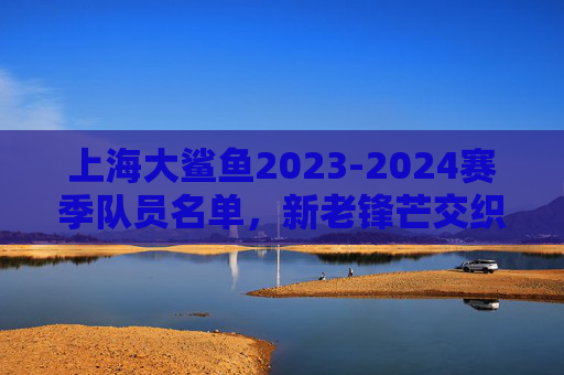 上海大鲨鱼2023-2024赛季队员名单,新老锋芒交织,剑指季后赛新征程,上海大鲨鱼2023-2024赛季队员名单,新老锋芒交织,剑指季后赛新征程