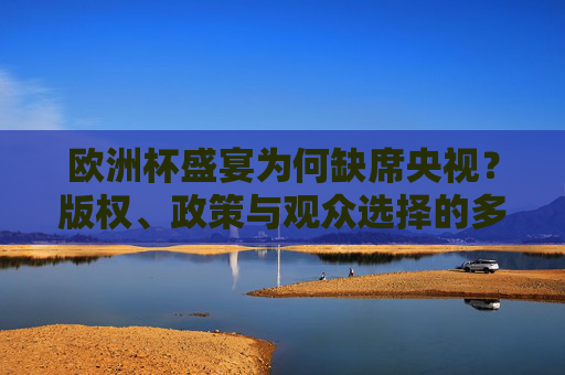 欧洲杯盛宴为何缺席央视？版权、政策与观众选择的多重解读，欧洲杯缺席央视，版权、政策与观众选择的多重解读
