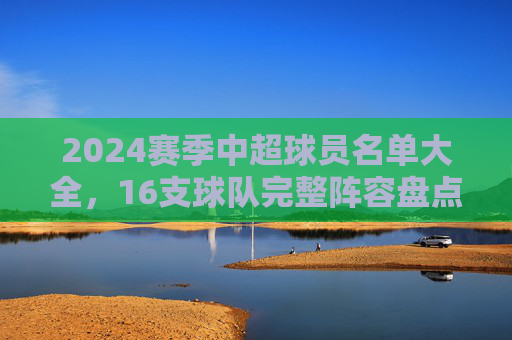 2024赛季中超球员名单大全，16支球队完整阵容盘点，2024赛季中超16队球员名单大全