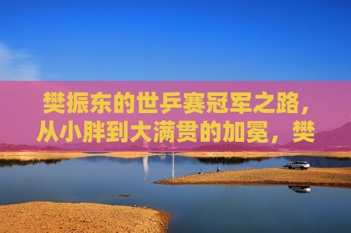 樊振东的世乒赛冠军之路，从小胖到大满贯的加冕，樊振东，从小胖到世乒赛大满贯的加冕之路