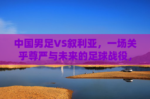 中国男足VS叙利亚，一场关乎尊严与未来的足球战役，中国男足VS叙利亚，尊严之战，未来之战
