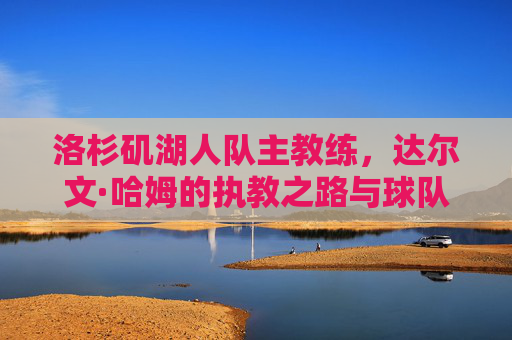 洛杉矶湖人队主教练，达尔文·哈姆的执教之路与球队未来展望，湖人主帅达尔文·哈姆，执教之路与未来展望