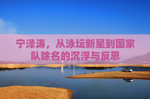宁泽涛,从泳坛新星到国家队除名的沉浮与反思