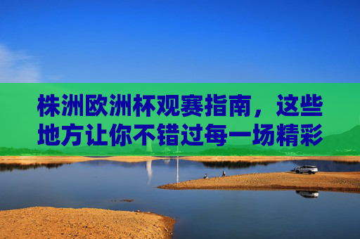 株洲欧洲杯观赛指南，这些地方让你不错过每一场精彩！株洲欧洲杯观赛指南，不错过每一场精彩