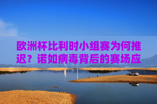 欧洲杯比利时小组赛为何推迟?诺如病毒背后的赛场应变,欧洲杯比利时小组赛因诺如病毒推迟,赛场应变引关注