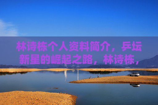林诗栋个人资料简介,乒坛新星的崛起之路,林诗栋,乒坛新星的崛起之路