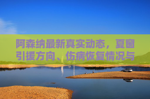阿森纳最新真实动态,夏窗引援方向、伤病恢复情况与争冠关键赛程解析