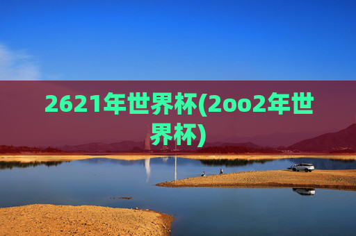 2621年世界杯(2oo2年世界杯)