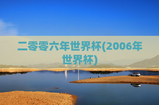 二零零六年世界杯(2006年世界杯)