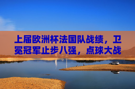 上届欧洲杯法国队战绩,卫冕冠军止步八强,点球大战憾负瑞士
