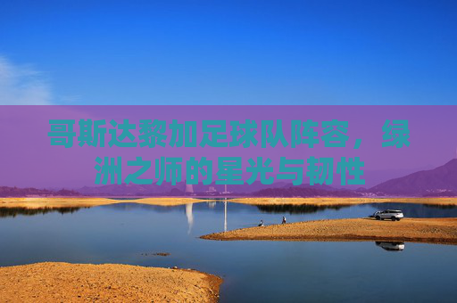 哥斯达黎加足球队阵容,绿洲之师的星光与韧性