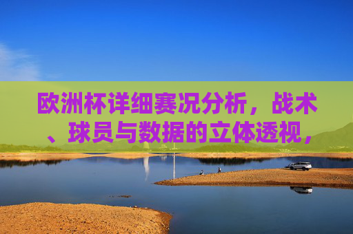 欧洲杯详细赛况分析,战术、球员与数据的立体透视,欧洲杯立体透视,战术、球员与数据的赛况分析