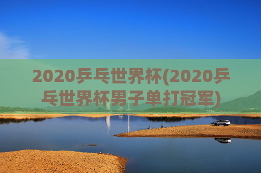 2020乒乓世界杯(2020乒乓世界杯男子单打冠军)