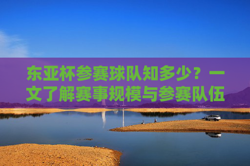 东亚杯参赛球队知多少?一文了解赛事规模与参赛队伍,东亚杯参赛球队全解析,赛事规模与队伍一览