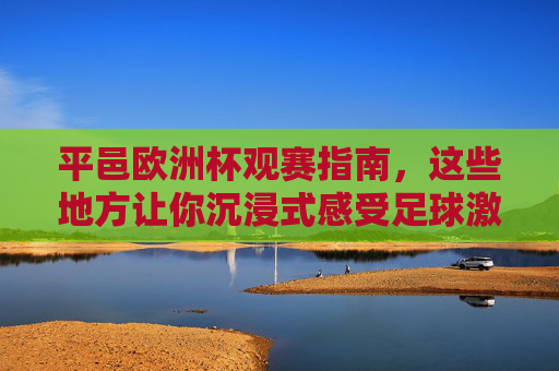 平邑欧洲杯观赛指南,这些地方让你沉浸式感受足球激情,平邑欧洲杯观赛指南,沉浸式足球激情