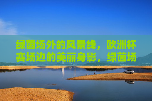 绿茵场外的风景线,欧洲杯赛场边的美丽身影,绿茵场外风景线,欧洲杯赛场边的美丽身影