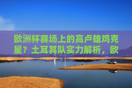 欧洲杯赛场上的高卢雄鸡克星?土耳其队实力解析,欧洲杯高卢雄鸡克星?土耳其队实力解析
