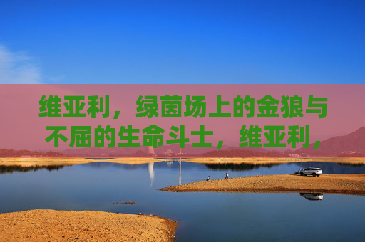 维亚利,绿茵场上的金狼与不屈的生命斗士,维亚利,绿茵金狼与不屈生命斗士