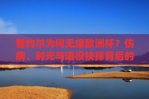 普约尔为何无缘欧洲杯?伤病、时光与退役抉择背后的故事,普约尔无缘欧洲杯,伤病、时光与退役抉择