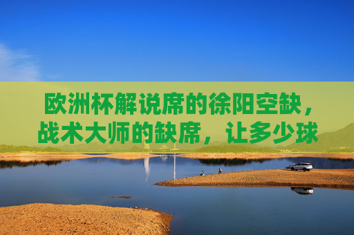 欧洲杯解说席的徐阳空缺,战术大师的缺席,让多少球迷少了战术教科书?欧洲杯徐阳空缺,球迷痛失战术教科书