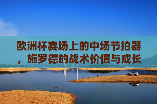 欧洲杯赛场上的中场节拍器，施罗德的战术价值与成长启示，欧洲杯中场节拍器施罗德，战术价值与成长启示