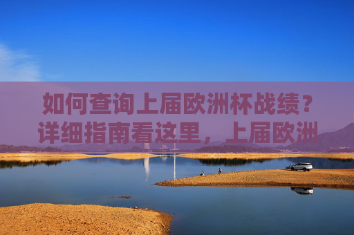 如何查询上届欧洲杯战绩？详细指南看这里，上届欧洲杯战绩查询指南