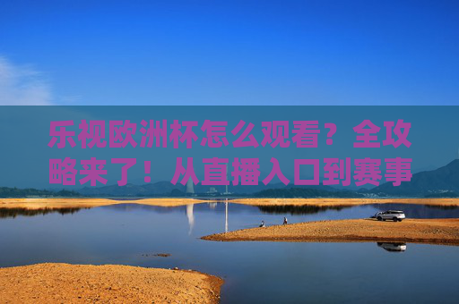 乐视欧洲杯怎么观看?全攻略来了!从直播入口到赛事精华,一文搞定,乐视欧洲杯观看全攻略,直播入口+赛事精华,一文搞定