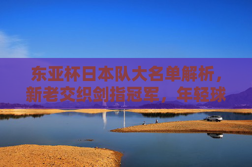 东亚杯日本队大名单解析，新老交织剑指冠军，年轻球员挑大梁，东亚杯日本队大名单，新老交织剑指冠军，小将挑大梁
