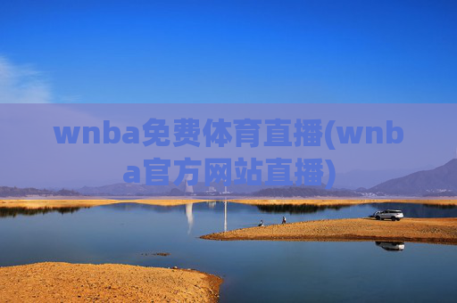 wnba免费体育直播(wnba官方网站直播)