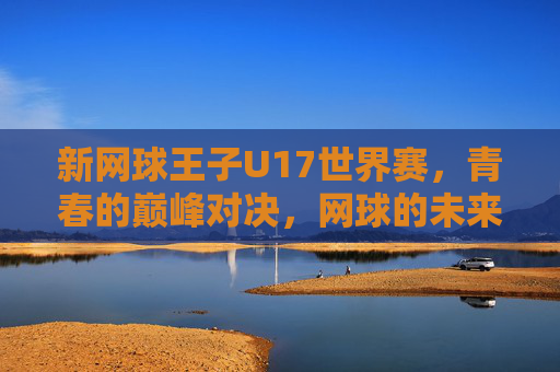新网球王子U17世界赛,青春的巅峰对决,网球的未来序章,新网球王子U17世界赛,青春巅峰对决,未来序章