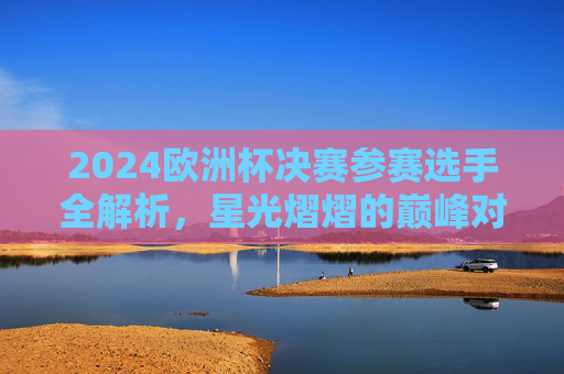 2024欧洲杯决赛参赛选手全解析，星光熠熠的巅峰对决，2024欧洲杯决赛参赛选手全解析，星光熠熠巅峰对决