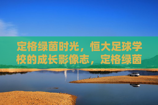 定格绿茵时光,恒大足球学校的成长影像志,定格绿茵,恒大足球成长影像