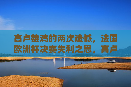 高卢雄鸡的两次遗憾,法国欧洲杯决赛失利之思,高卢雄鸡两度饮恨,欧洲杯决赛失利反思