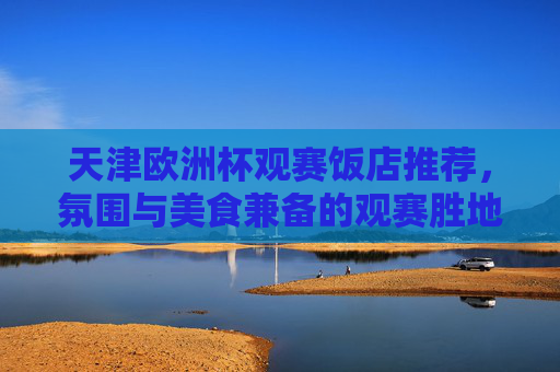 天津欧洲杯观赛饭店推荐,氛围与美食兼备的观赛胜地,天津欧洲杯观赛饭店,氛围与美食兼备的观赛胜地