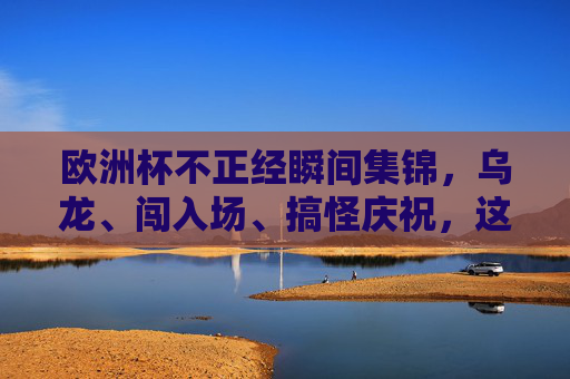 欧洲杯不正经瞬间集锦，乌龙、闯入场、搞怪庆祝，这些趣事你看过吗？欧洲杯不正经瞬间，乌龙闯场搞怪庆祝名场面