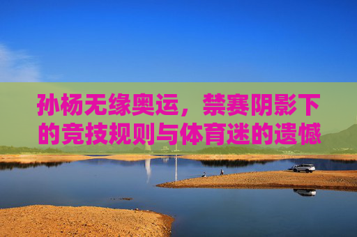 孙杨无缘奥运,禁赛阴影下的竞技规则与体育迷的遗憾,孙杨无缘奥运,禁赛阴影下的规则与遗憾